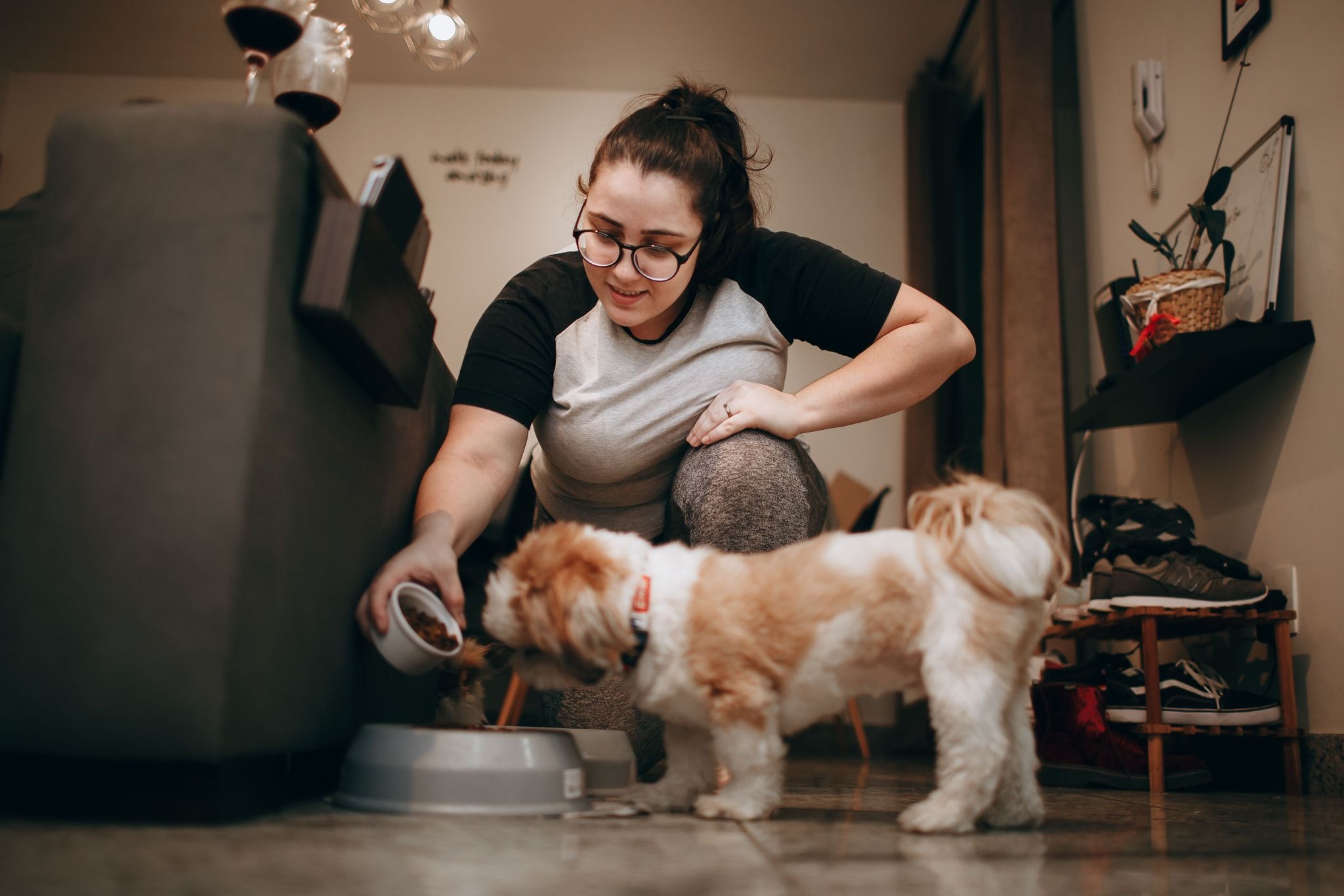 A Wag! pet caregiver serving food to a client's dogs during a pet care visit
