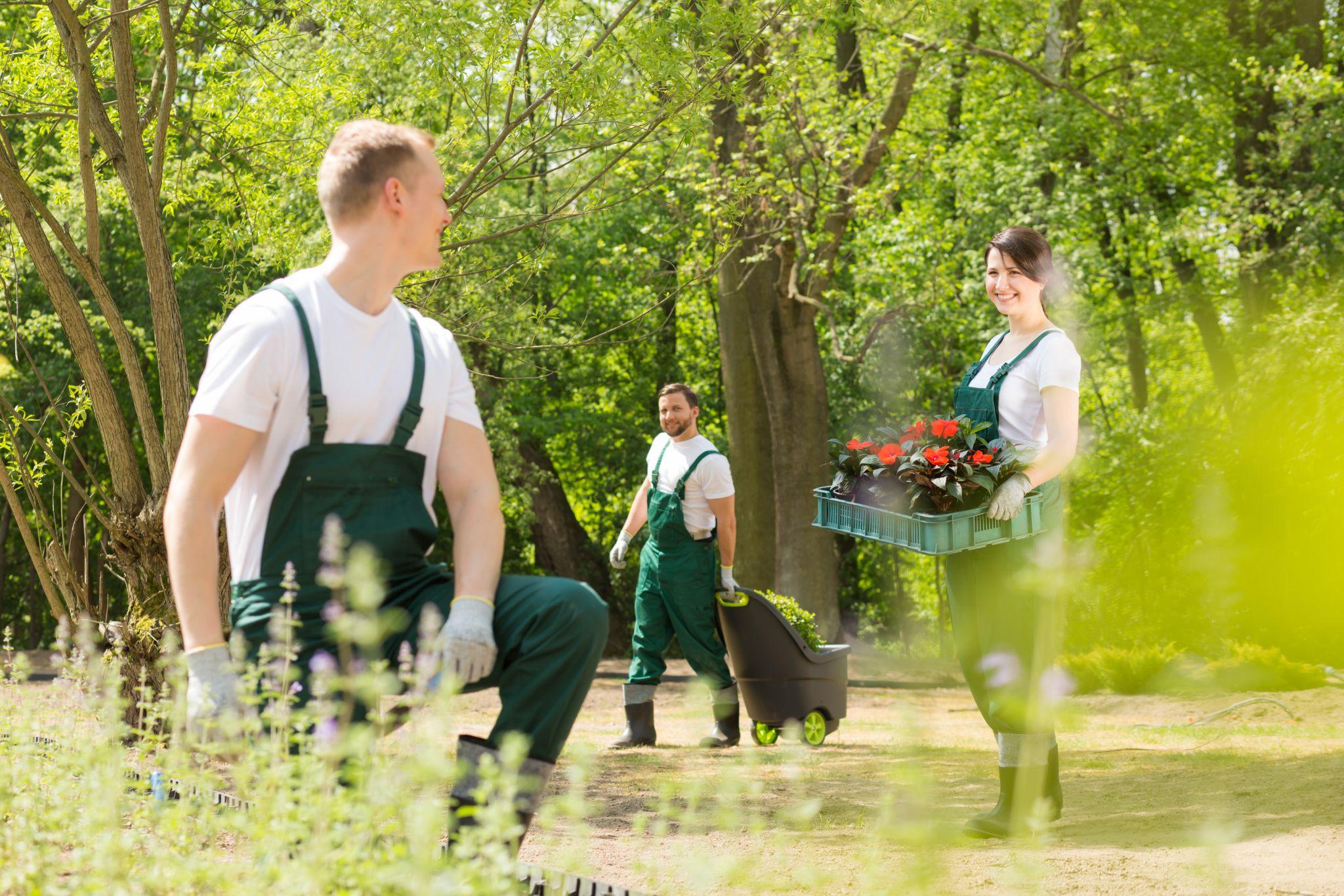 Lawn care team working together in a garden.